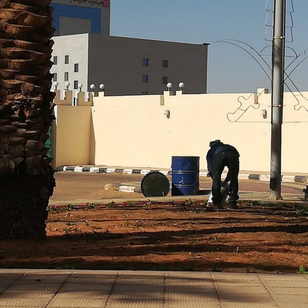 IMG 20180320 WA0041 600x600