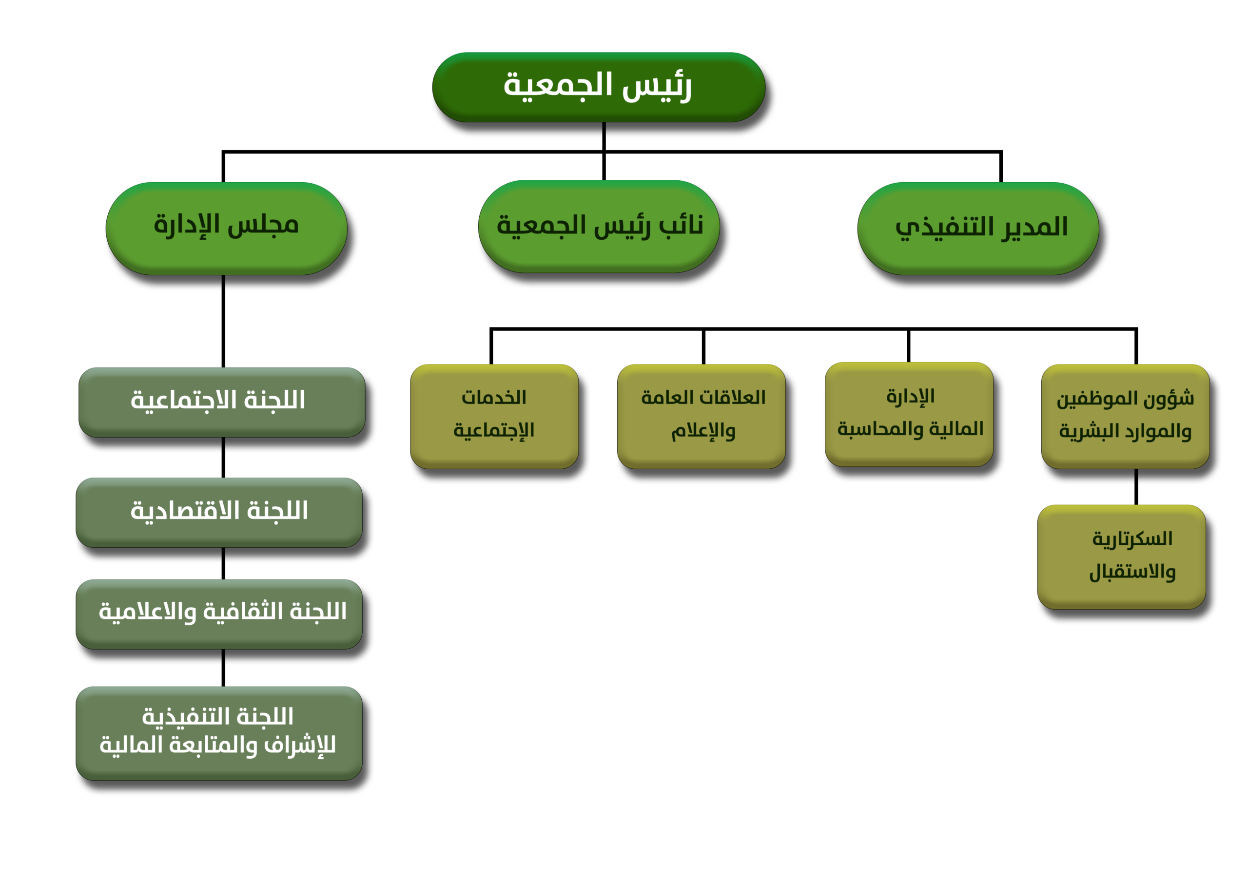 الهيكل التنظيمي الجديد copy 1 scaled