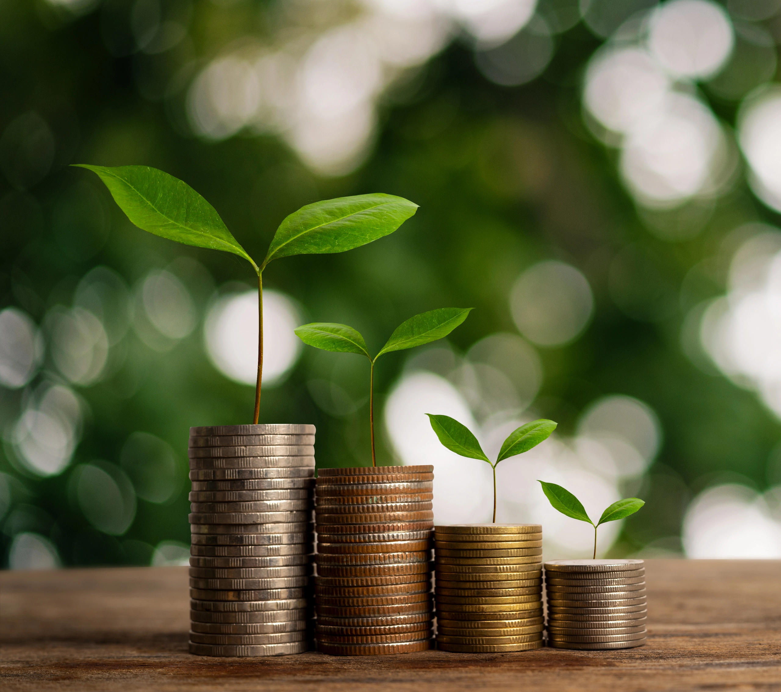 Vecteezy money growing concept business success concept trees growing 14937988 copy